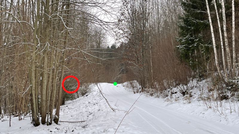 
Nuotrauka iš autorės stovėjimo vietos. Žaliu tašku pažymėta, kur pirmoji kulka atsitrenkė į kelio dangą. Raudonu apskritimu – apytikrė vieta, kur antroji kulka nuskėlė krūmus
