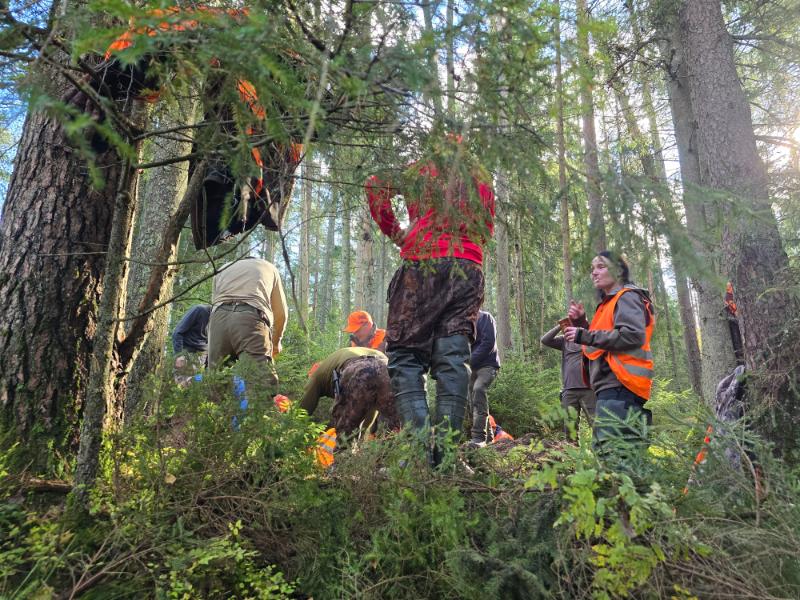 
Asociatyvi nuotrauka
